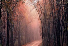 乐鱼体育登陆入口-高卢雄鸡折翼！法国队爆冷出局，战术谜题与姆巴佩困局引爆全球热议