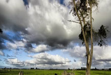 leyu乐鱼体育中国-亚洲杯烽火｜曼城铁骑破冰晋级！死亡之组积分榜引爆三大悬念