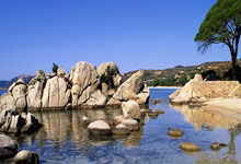 乐鱼体育登陆入口-紫金王朝归来！湖人逆袭夺冠背后的双核密码